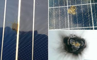 Solar Panel Hot Spot Exposed! Solar Review.