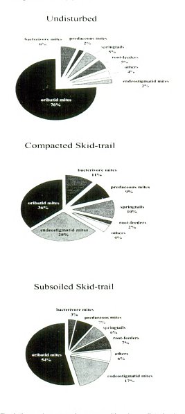 [merged small][merged small][ocr errors][subsumed][merged small][merged small][graphic][merged small][merged small][merged small][merged small][merged small][subsumed][subsumed][merged small][merged small][graphic][merged small][merged small][merged small][merged small][subsumed][merged small][merged small][merged small][merged small][graphic][subsumed][merged small][merged small]