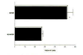 [graphic][merged small][merged small][ocr errors][merged small][merged small][merged small][merged small][merged small][merged small][merged small]